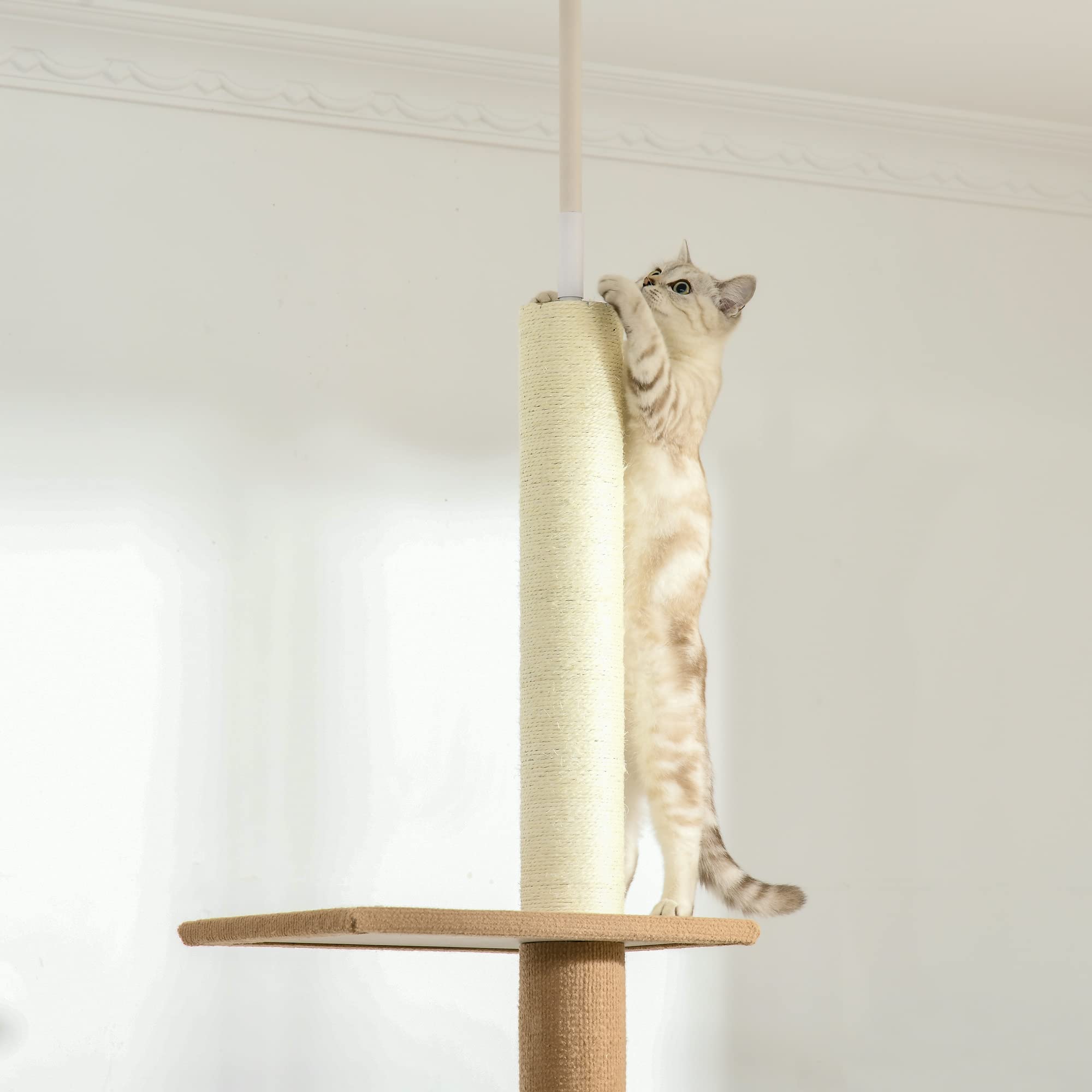 PawHut 72
