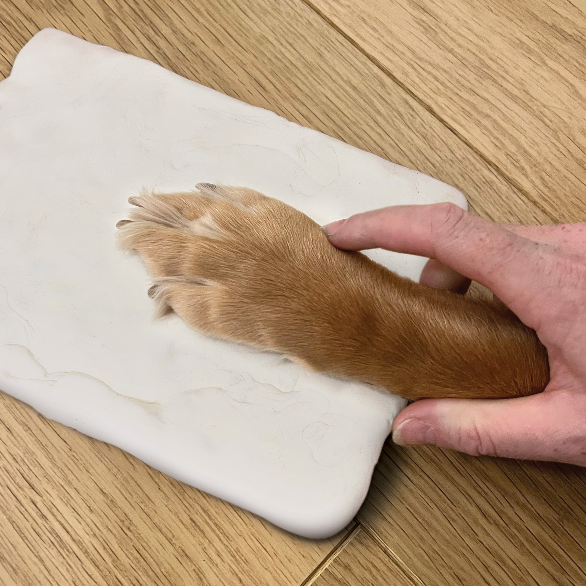 DIY Paw Print Clay Mould & Photo Frame Kit for Pets - Create Lasting Memories with Custom Clay Impressions & Picture Frames (Perfect for Pet Memorials, Gifts & Keepsakes)