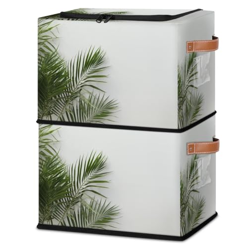 Palm Leaves Tropical