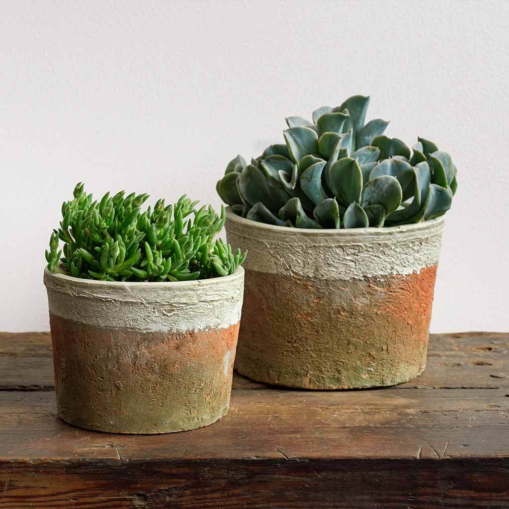 Campania International Farmer’s Cylinder Pot Set - 3-Piece Garden Planters for Outdoor Flowers, Herbs & Vegetables | Durable Stoneware Design for Patio, Deck & Backyard Decor
