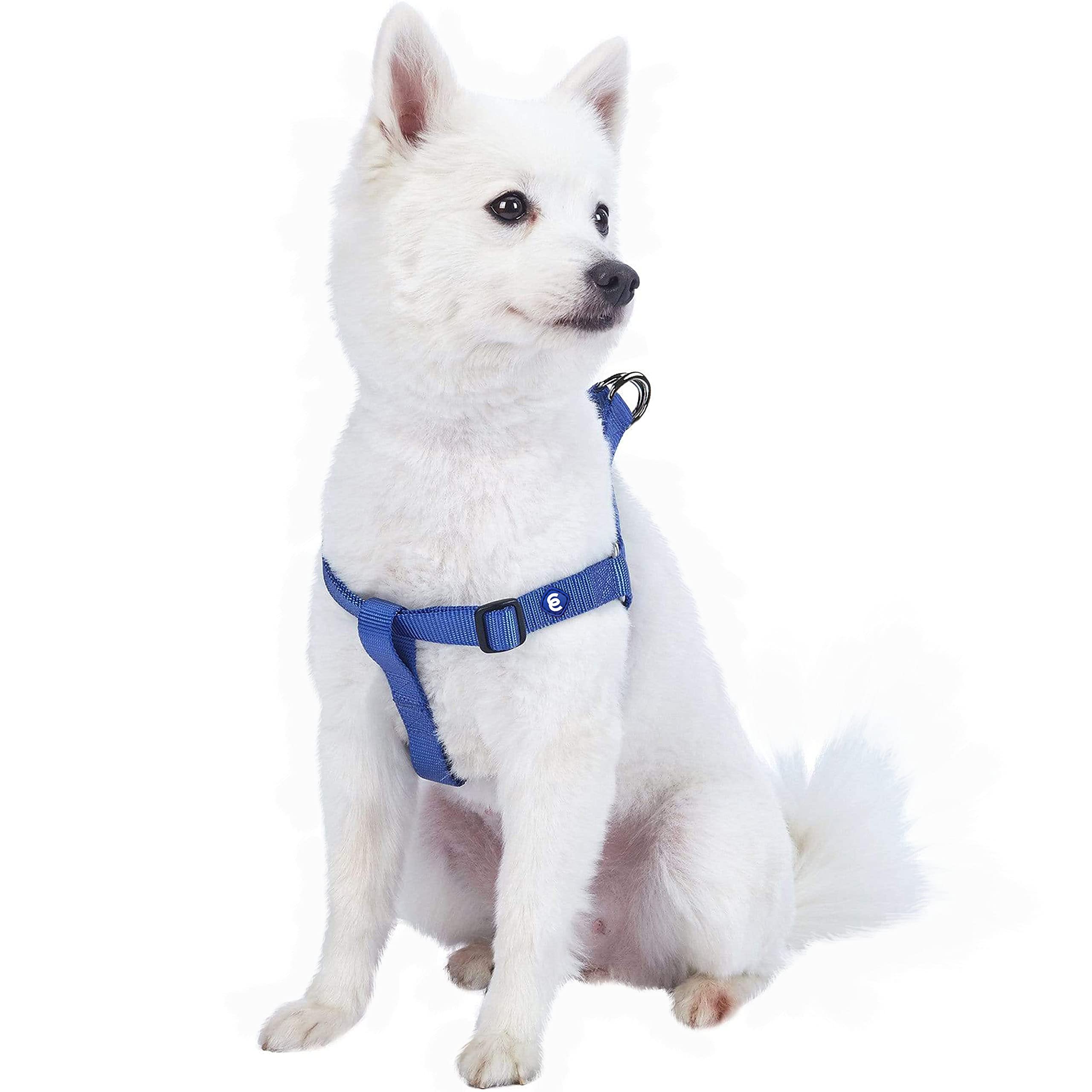 Premium Adjustable No-Pull Dog Harness for Small Dogs - Classic Solid Nylon, Easy Walk & Step-In Design in Marina Blue | Comfortable Pet Walking Accessory for Daily Walks, Outdoor Adventures & Training Sessions