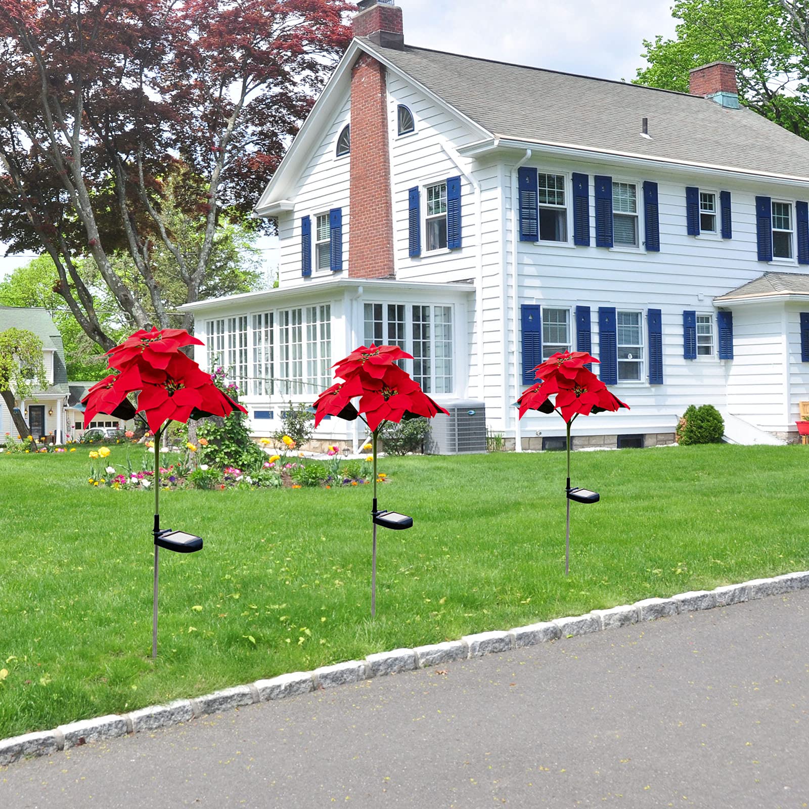 Solar Powered Outdoor Flower Lights - 2 Pack Waterproof LED Poinsettia & Rose Stake Lights for Garden, Yard, Patio, Pathway Decor | Christmas Holiday Decoration | Perfect for Landscape Lighting, Wedding Decor, and Festive Ambiance