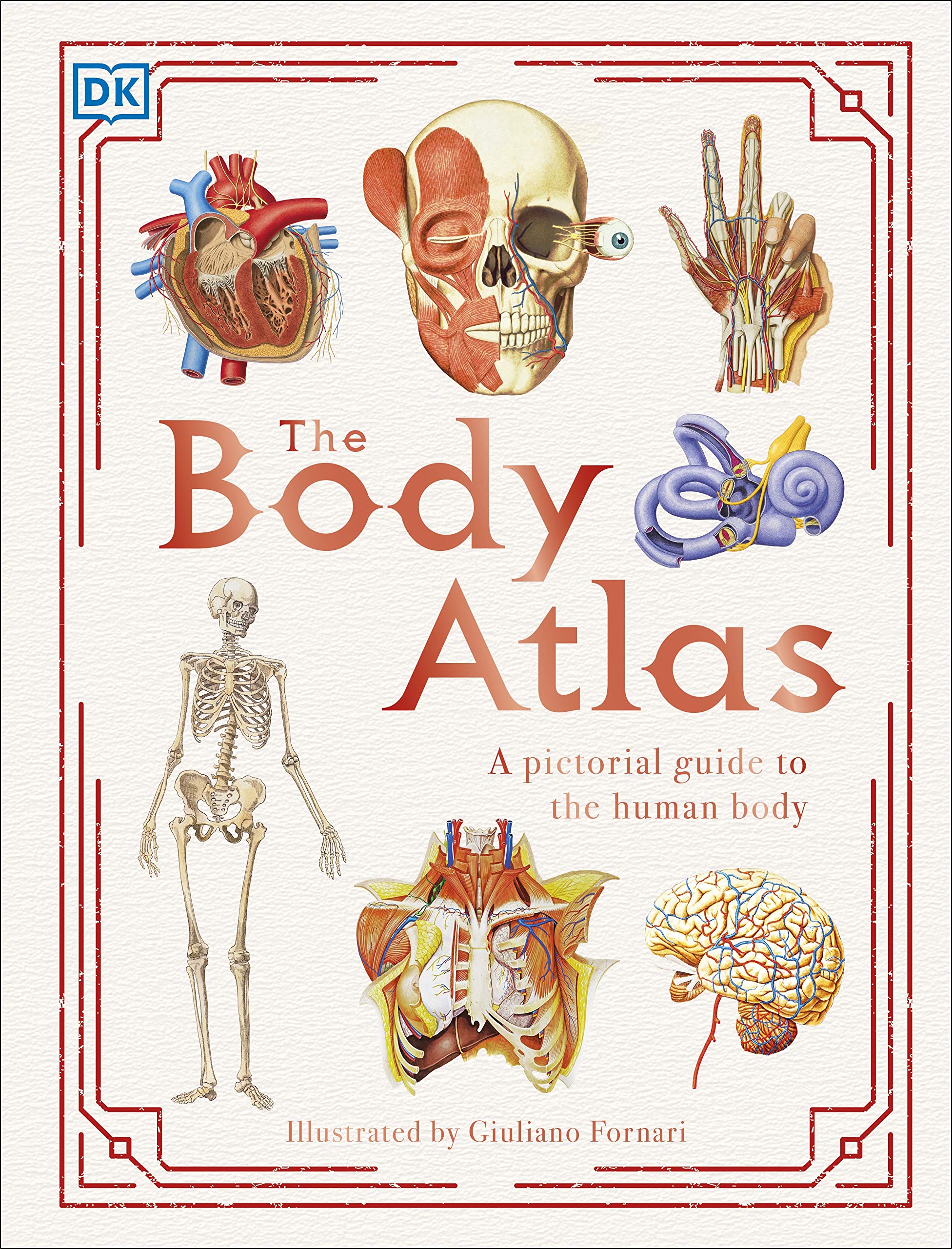 The Body Atlas: Illustrated Human Anatomy Guide - Perfect for Students, Teachers & Medical Professionals