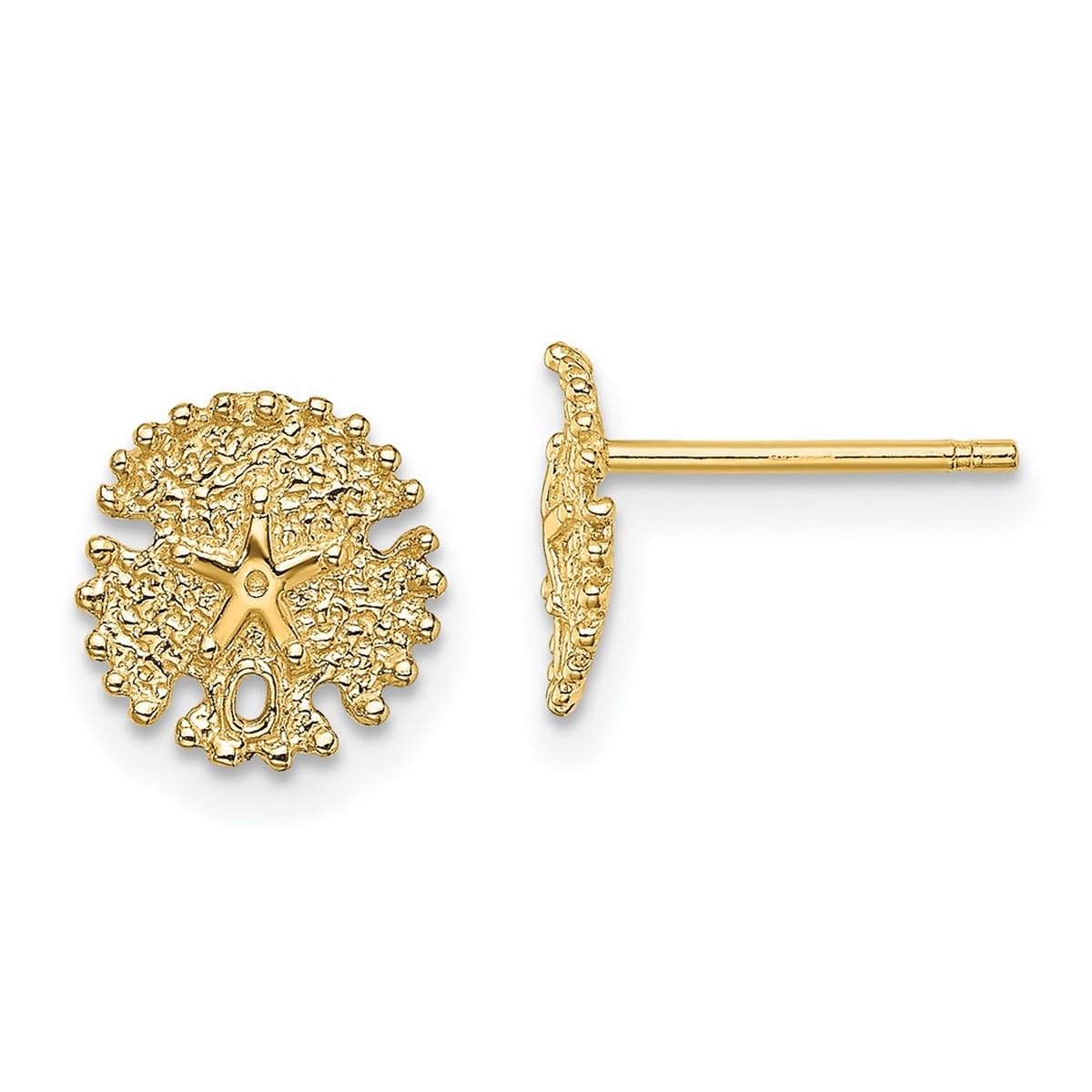14K Gold Sand Dollar Textured Post Earrings for Women - 8.4x8.25mm Wide Hypoallergenic Stud Earrings - Perfect for Beach Weddings, Vacation Jewelry & Everyday Wear