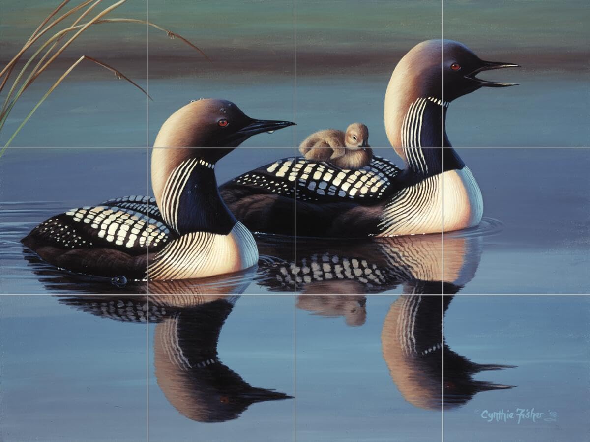 Ceramic Backsplash Tile Mural - Arctic Loons Waterfowl Bird Design for Kitchen & Bathroom - Hand-Painted Art by Cynthie Fisher - Perfect for Home Renovation & Decoration