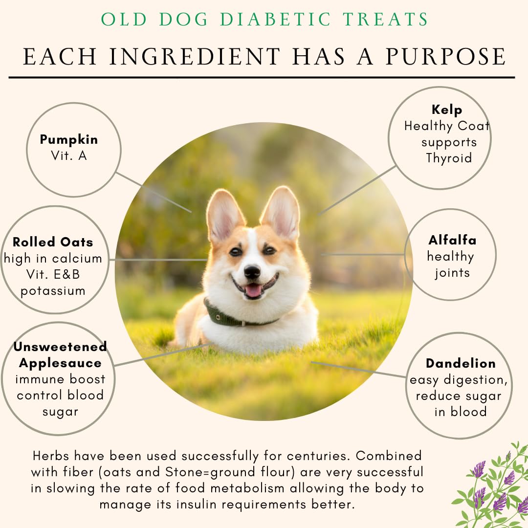 Low-Calorie Diabetic Dog Treats 8 oz - 2 Calorie All-Natural Vet-Approved Snacks for Small Dogs - Perfect for Training & Rewarding Tiny Breeds