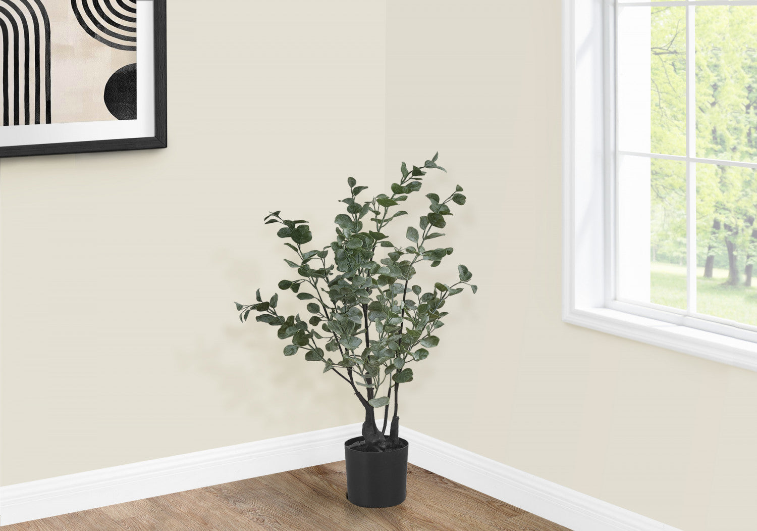 35 Eucalyptus Plant with 5 Black Pots - Fresh Green Indoor/Outdoor Decor for Home, Office, and Garden