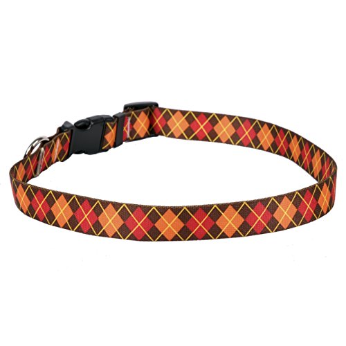 Fall Argyle