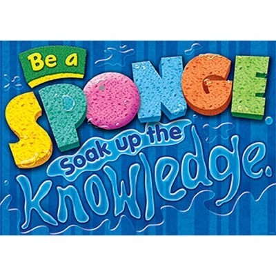 Argus® Motivational Poster - Be A Sponge - Inspirational Office & Classroom Decor - Perfect for Teachers, Students & Workplace Motivation