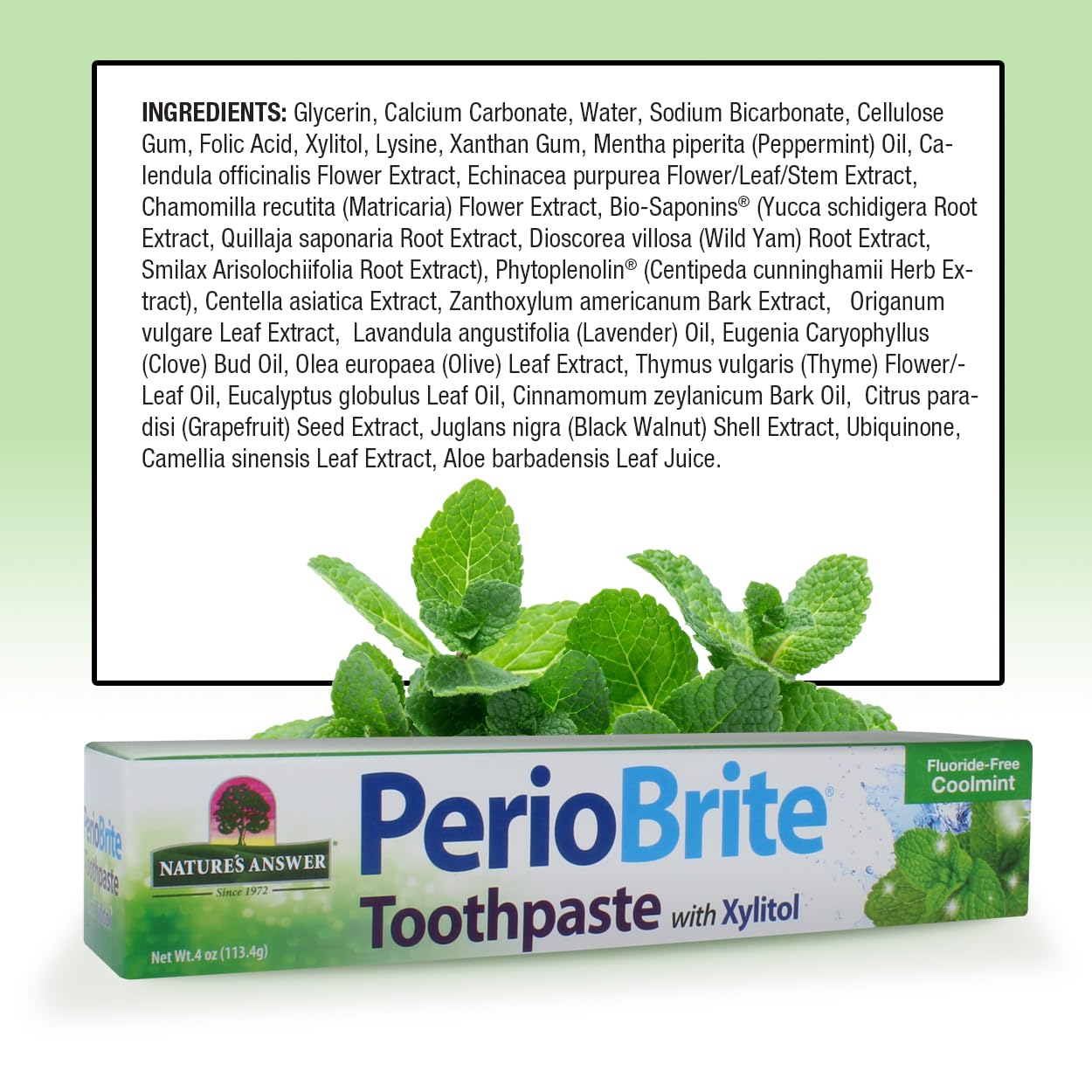 Nature's Answer Periobrite Toothpaste, 4 oz - Whitening Toothpaste for Fresh Breath, Plaque Removal & Dry Mouth Relief | Natural Oral Care for Daily Use at Home or Travel