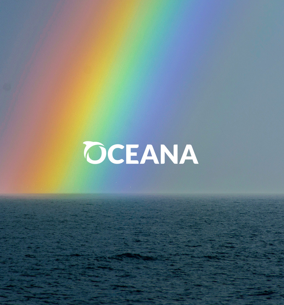 Oceana - Premium Quality Products for Your Everyday Needs | Shop Now for Home, Office & Outdoor Use