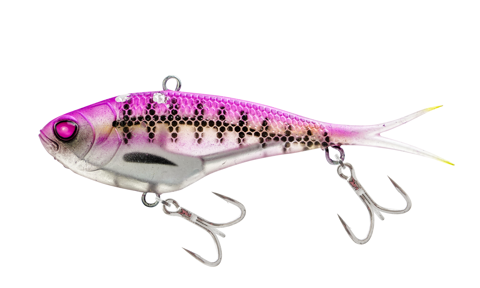 Purple Bandit