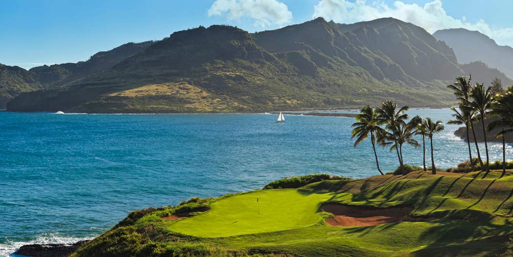Biggies-Golf Murals - Kauai Lagoon 120
