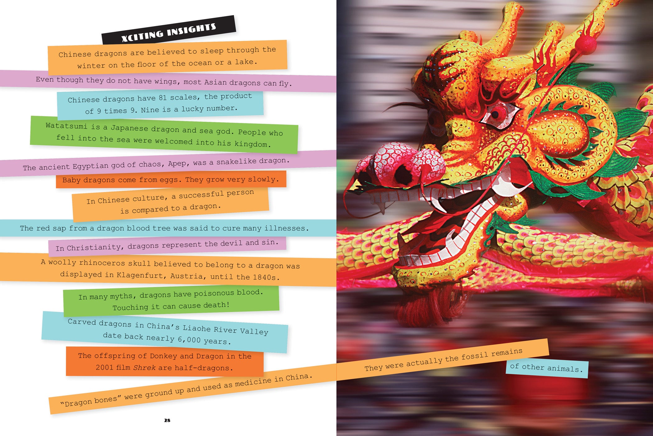 Dragon Fantasy Novel - ISBN 9781640261952 | Epic Adventure Book for Teens & Adults | Perfect for Gifts & Book Clubs