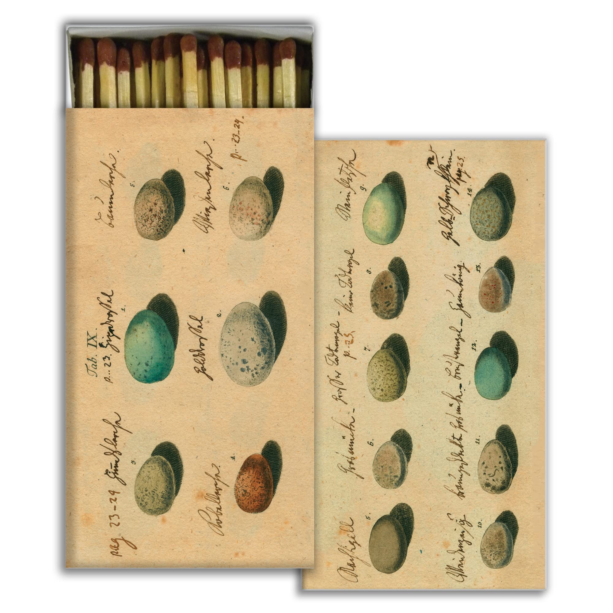 Egg Illustrations Decorative Matchbox with Wooden Matches - Premium Fire Starter for Candles, Fireplaces, Grills & Camping | Vintage Design Gift Idea for Home Decor