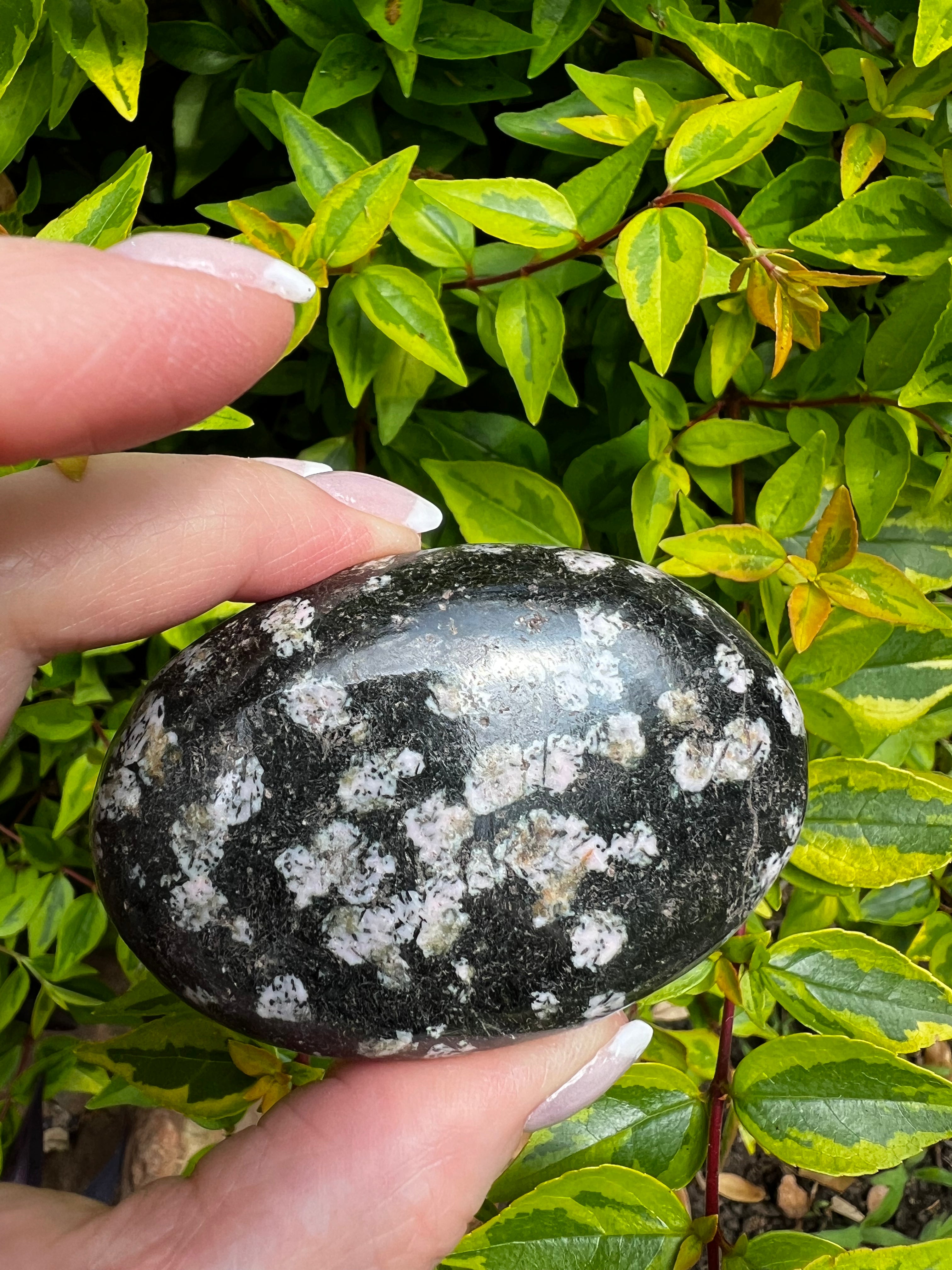 Snowflake Obsidian Palm Stone 2.5