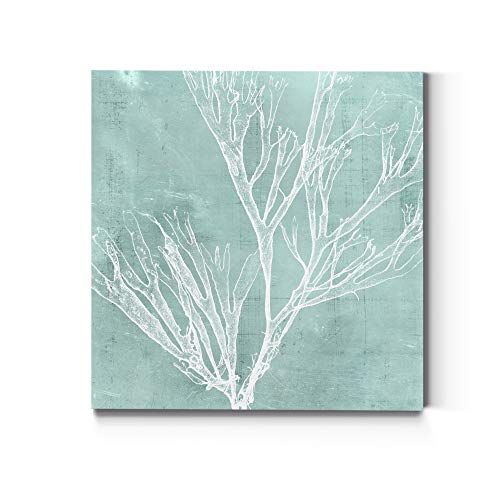Seaweed Aqua 7