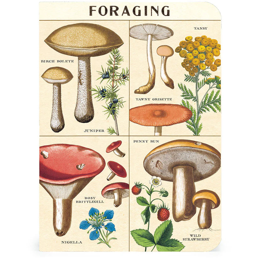 Cavallini & Co. 3-Pack Mini Notebook Set - Foraging Theme - Perfect for Journaling, Sketching & Nature Notes - Ideal for Outdoor Enthusiasts & Botanical Lovers