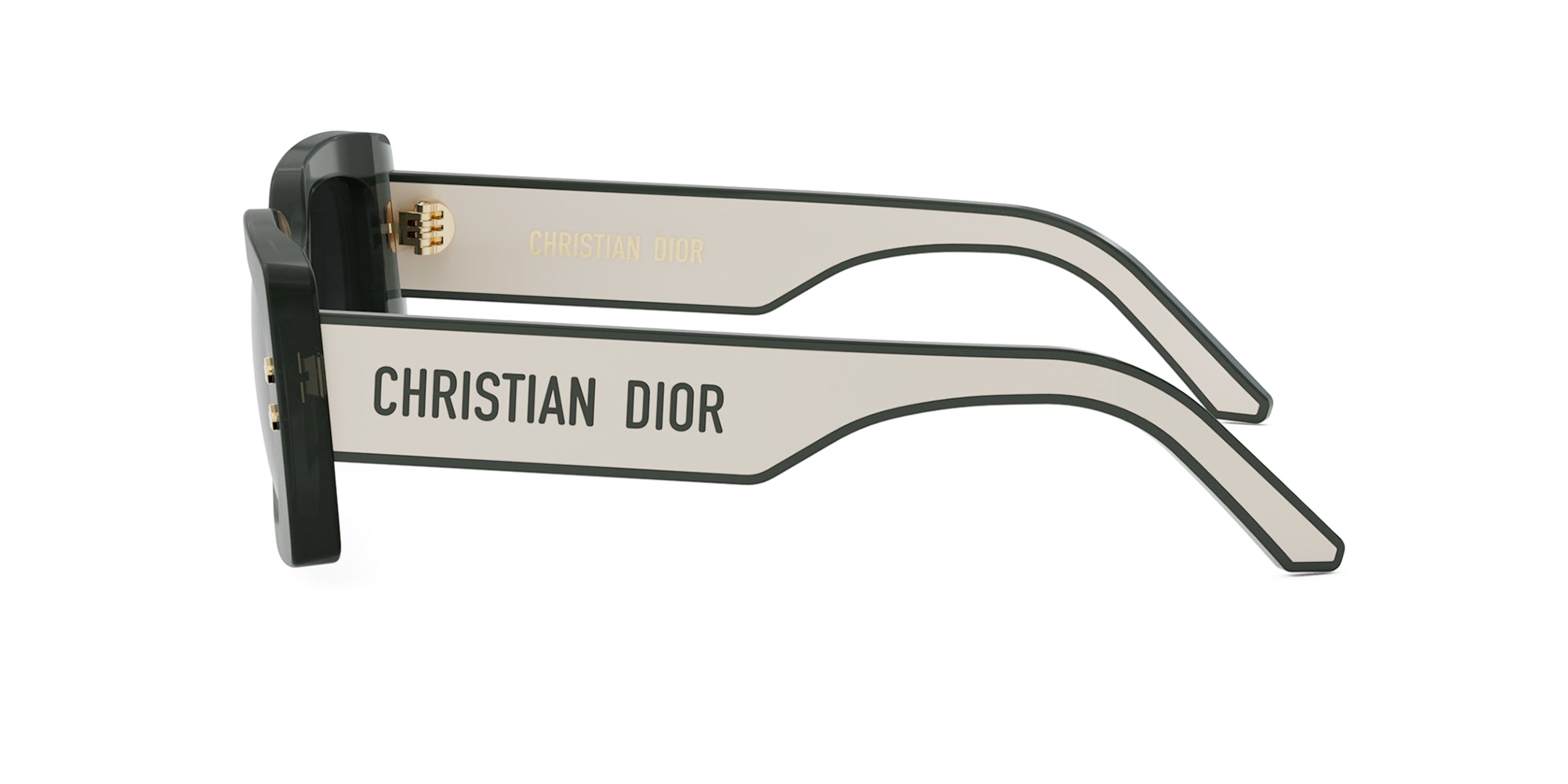 Dior Pacific S1U - Luxury Designer Handbag for Women | Perfect for Parties, Work & Everyday Use