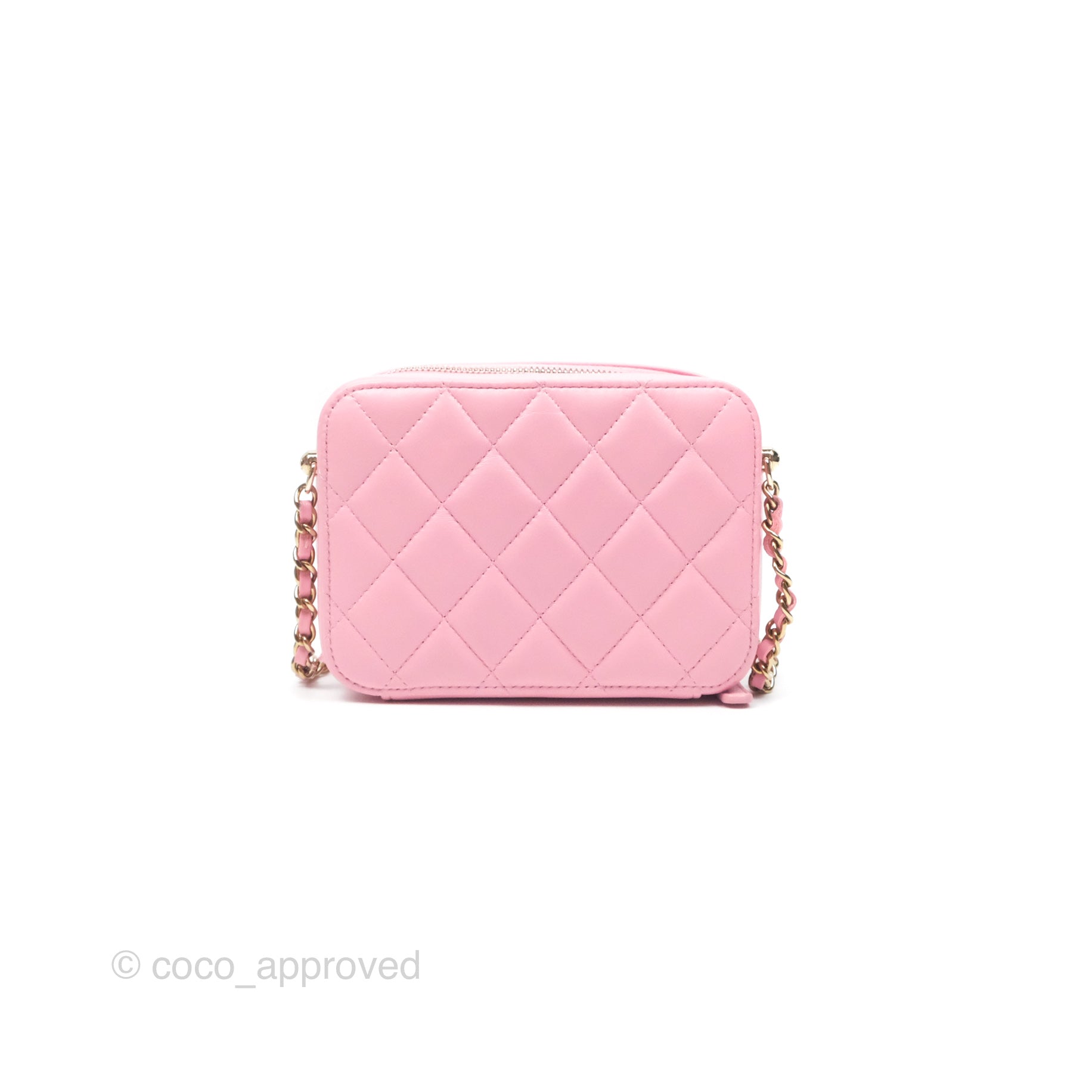 Chanel Quilted Lambskin Camera Bag in Pink with Gold Hardware - Perfect for Everyday Use & Special Occasions