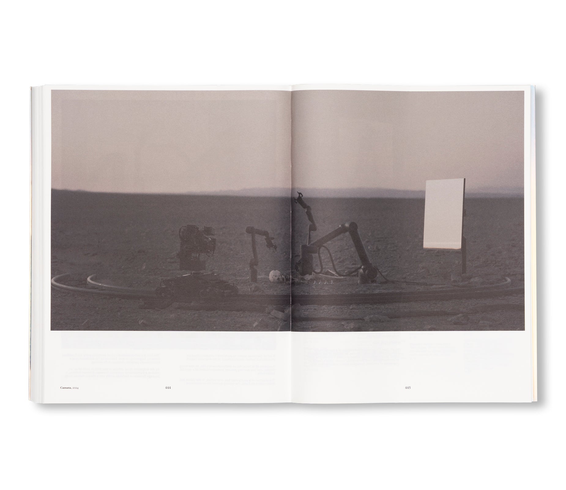 LIMINAL by Pierre Huyghe - Contemporary Art Book for Collectors & Enthusiasts | Perfect for Home Decor, Gallery Displays & Art Lovers