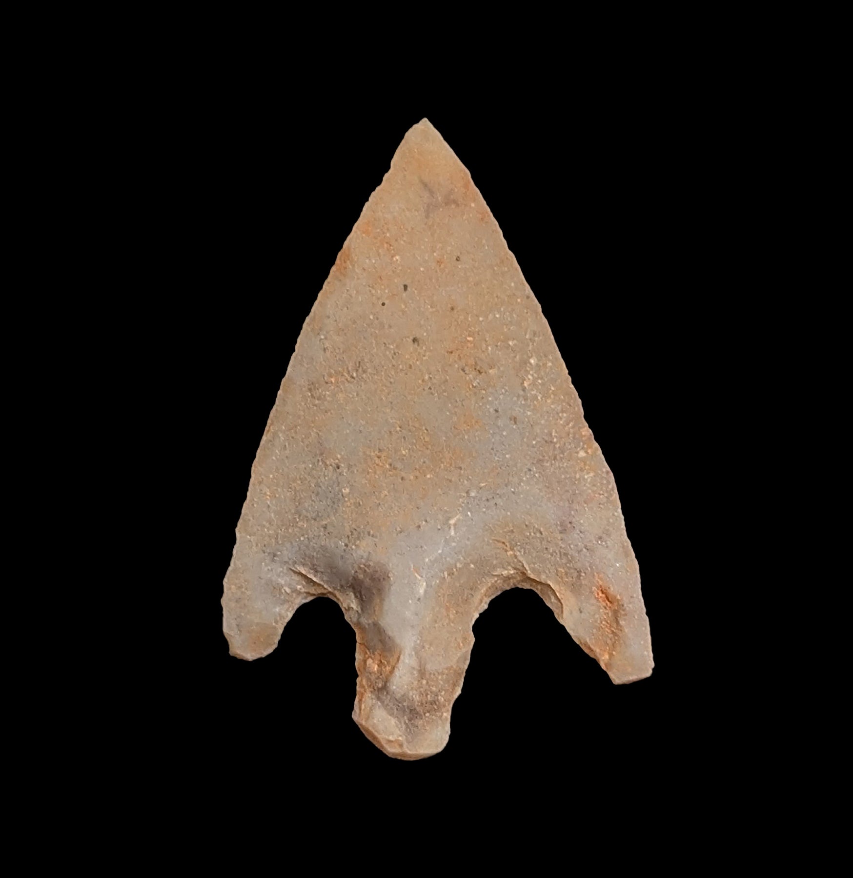 Neolithic Bird Points - Authentic Stone Age Arrowheads for Collectors & Archaeology Enthusiasts | Perfect for Historical Reenactments, Museum Displays & Ancient Weapon Collections