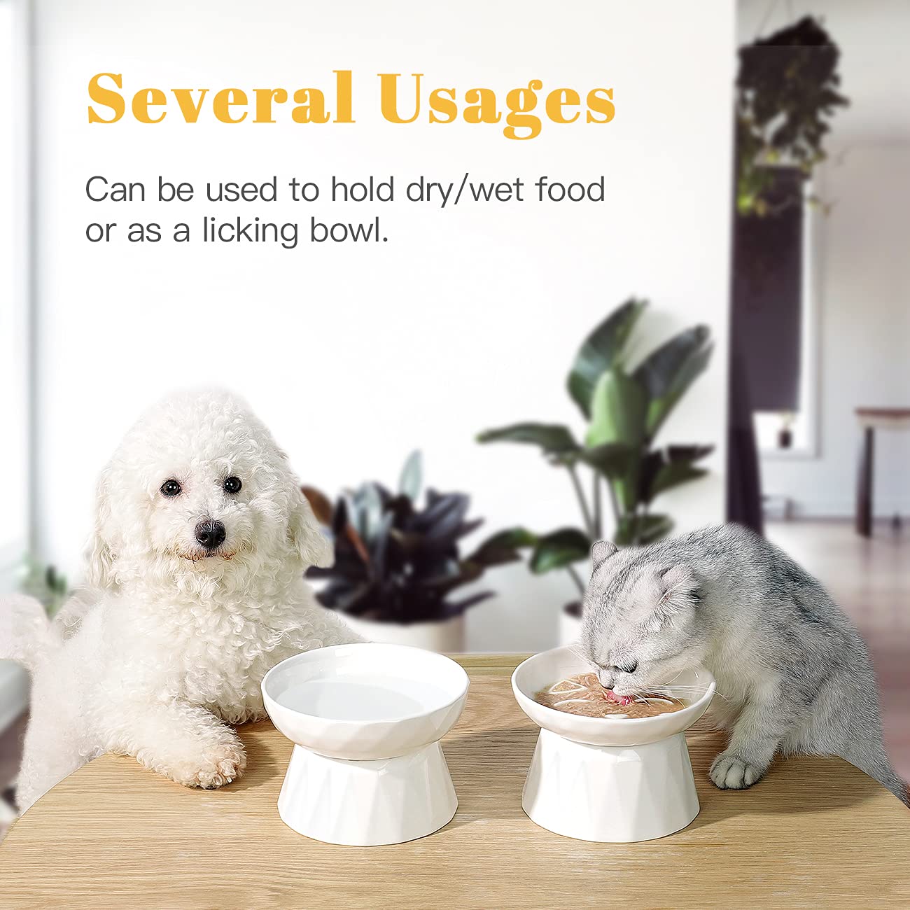 Frewinky Ceramic Slow Feeder Cat Bowls - 2-Piece Elevated Pet Food & Water Bowl Set for Cats & Small Dogs | Anti-Gulping Design for Dry/Wet Food | Perfect for Mealtime Fun & Portion Control in Homes with Multiple Pets