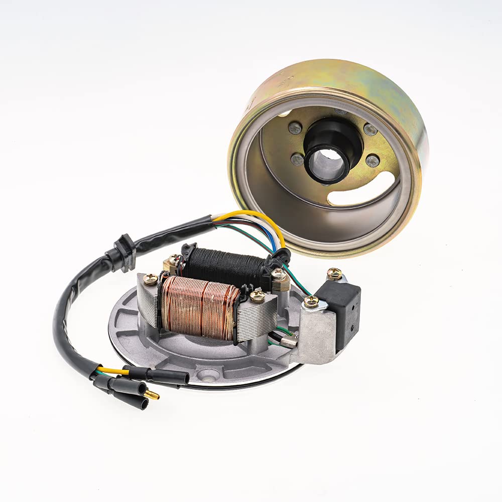 2 Coil Ignition Magneto Stator Flywheel Rotor Kit for 50cc-125cc ATV Quad Dirt Bikes - Compatible with Taotao, Kazuma, SSR, Baja 4 Wheelers - Perfect for Engine Repair & Off-Road Performance Upgrades