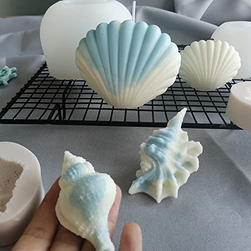 shell-4-pack