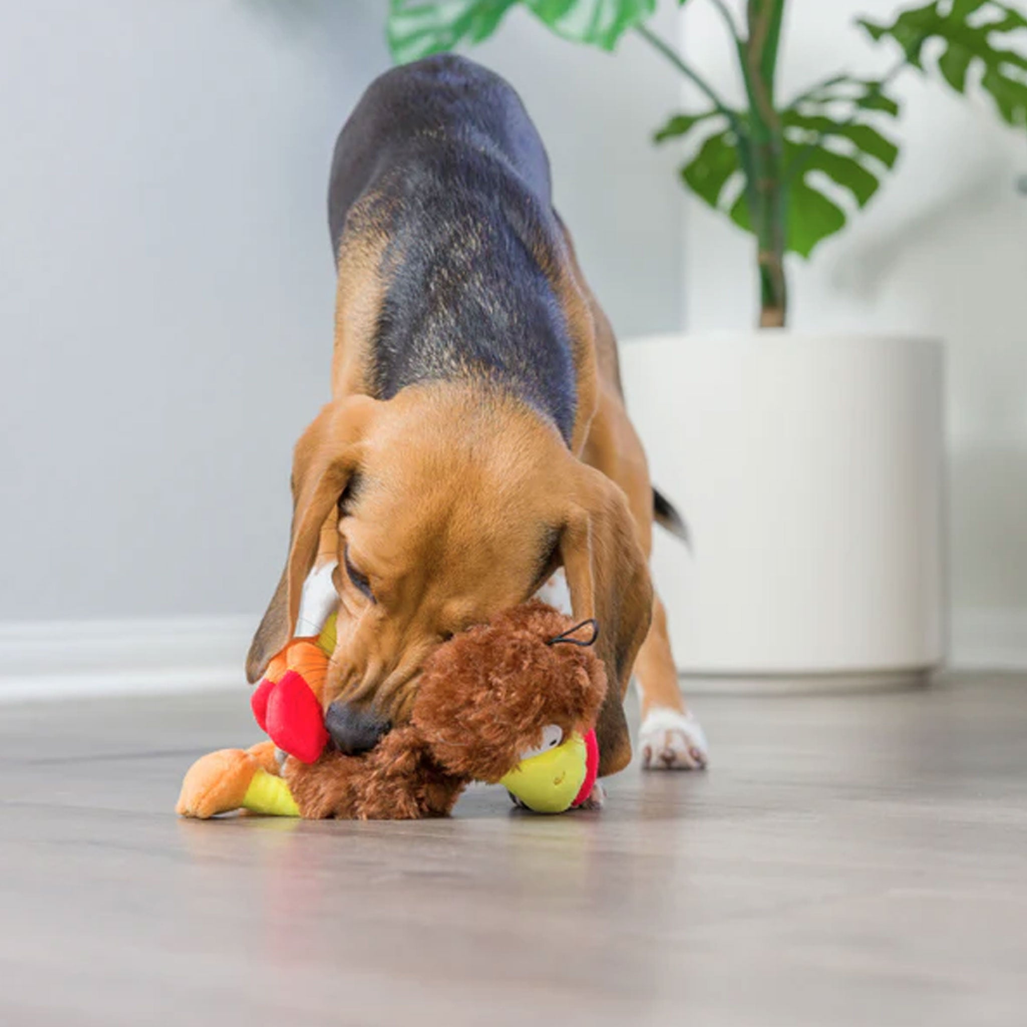 Huxley & Kent Wishbone Turkey Dog Toy - Durable Chew Toy for Aggressive Chewers, Interactive Play & Dental Health - Perfect for Large & Medium Dogs, Indoor & Outdoor Use