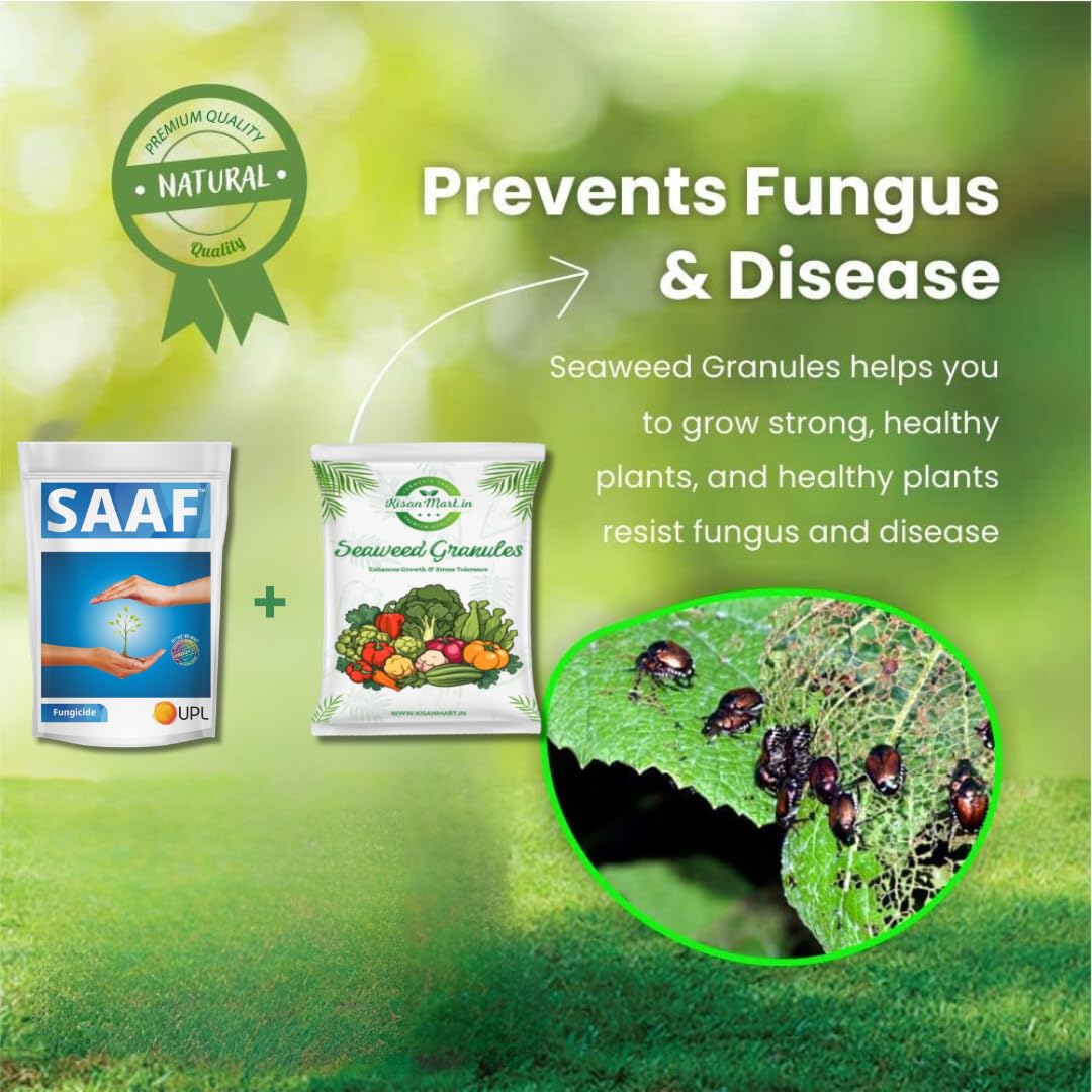 Organic Seaweed Granules 100g & 250g Combo - Natural Plant Growth Booster, Bio-Stimulant & Nutrient-Rich Fertilizer for Healthy Gardens, Lawns & Houseplants | Perfect for Organic Farming, Hydroponics & Indoor Plant Care