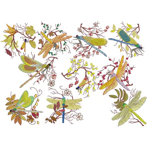Dragonflies1