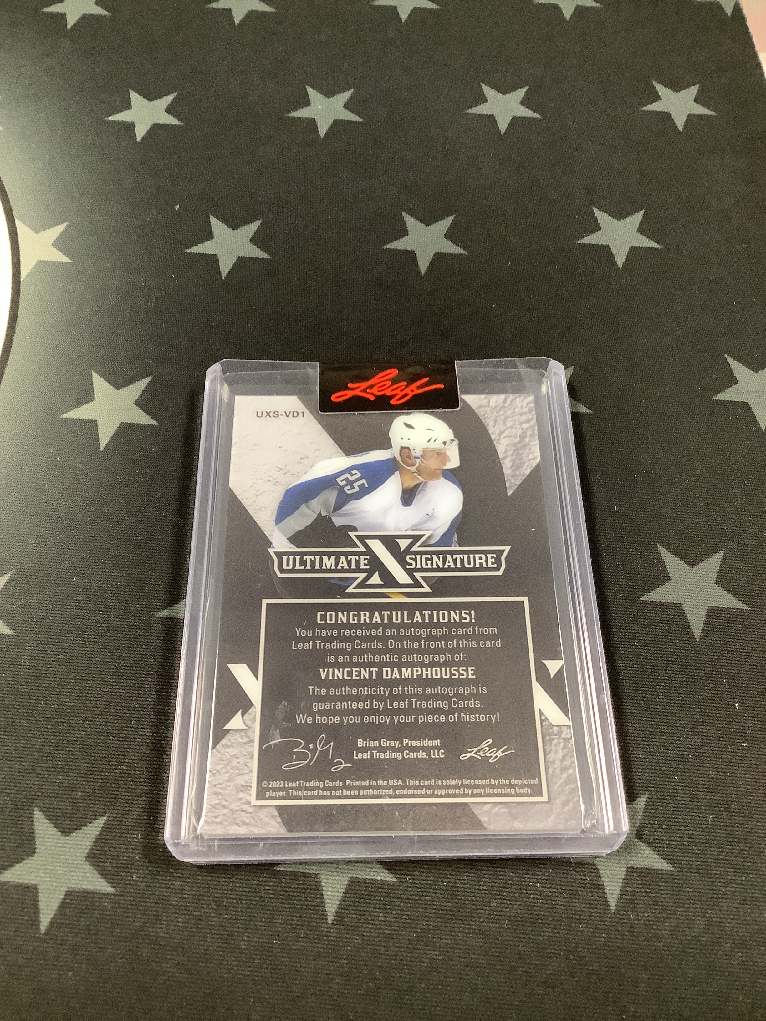 2023 LEAF ULTIMATE SIGNATURES VINCENT DAMPHOUSSE #UXS VD1 /25 Hockey Trading Card - Rare Collectible Sports Memorabilia for NHL Fans and Card Collectors - Perfect for Display, Trading, and Investment