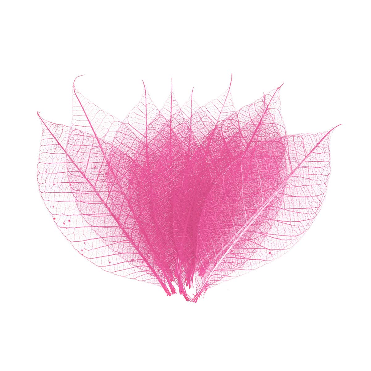 Milisten Skeleton Natural Rubber Leaves - 50PCS Pink Artificial Leaves for DIY Crafts, Scrapbooking, Handmade Cards, Home Decor & Wedding Embellishments - Perfect for Fall Decor, Table Centerpieces and Photo Backdrops