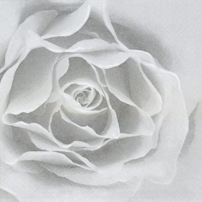 20 Pack Rose Silver Floral Lunch Napkins - Elegant Disposable Paper Napkins for Wedding, Party, Dinner & Special Occasions
