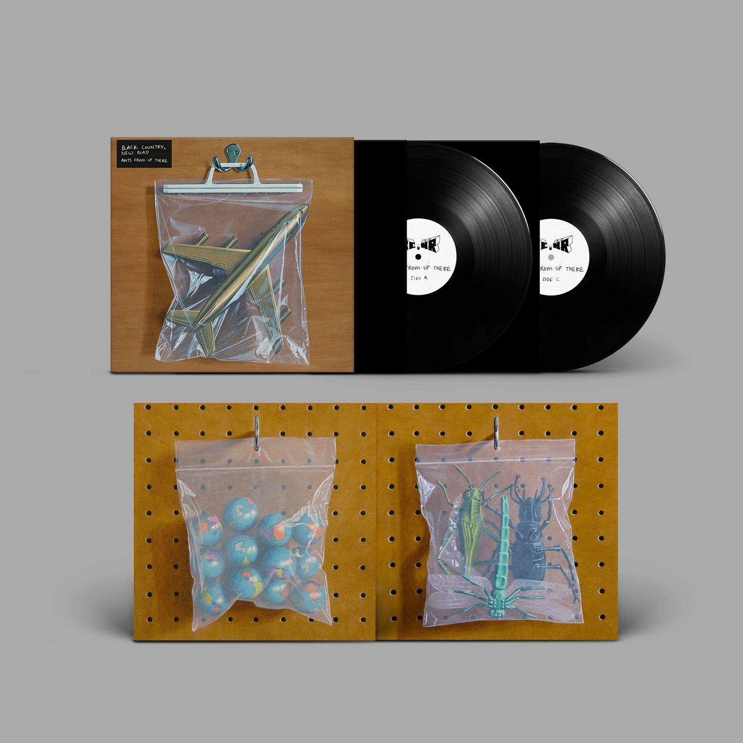 Ants From Up There Vinyl Record - Limited Edition LP for Audiophiles & Music Collectors | Perfect for Home Listening, Gifts, and Vinyl Enthusiasts