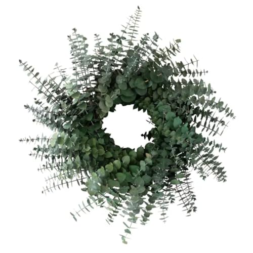 Green Baby Eucalyptus