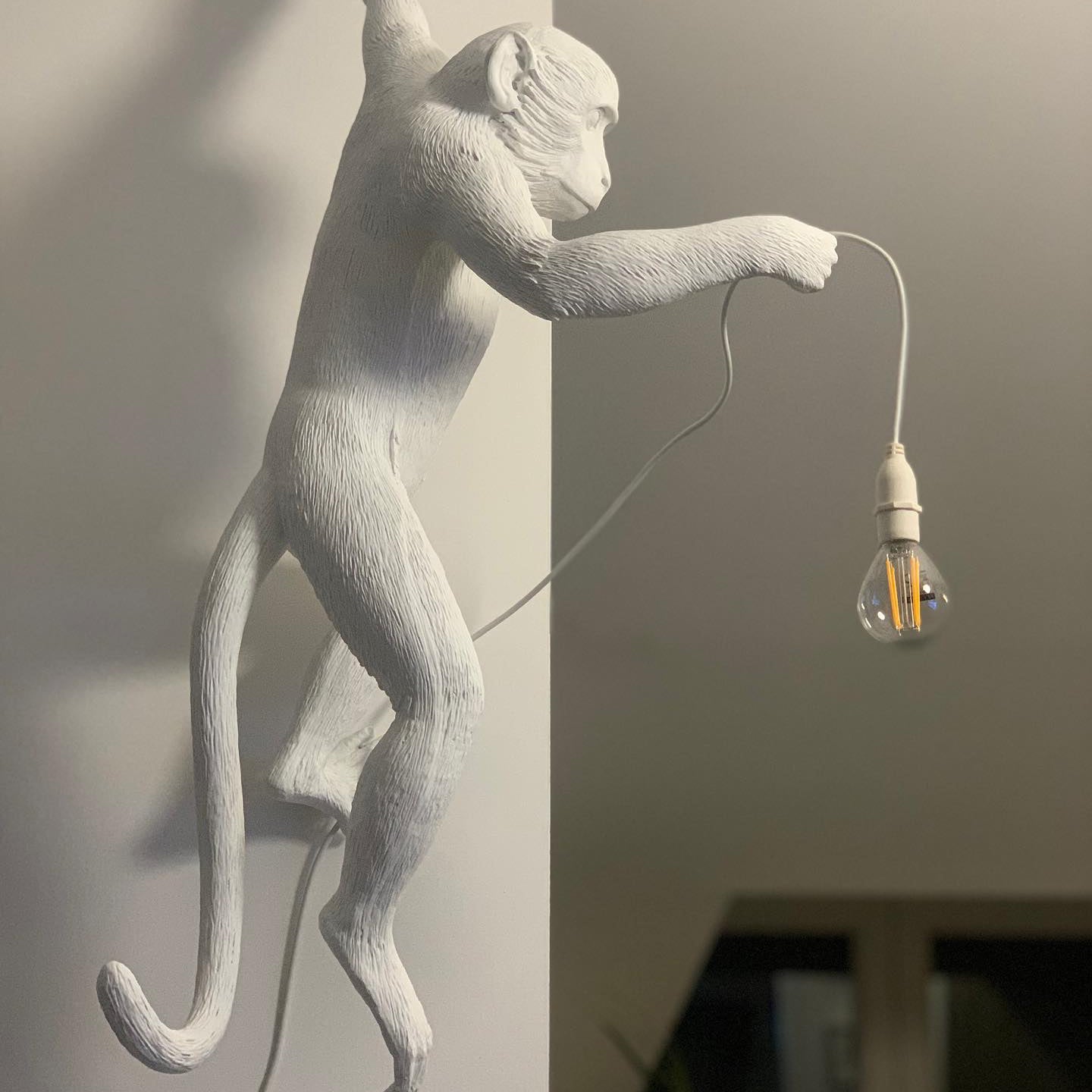 Cute Monkey Wall Lamp - LED Night Light for Kids Room, Nursery, Bedroom - Fun Animal-Themed Decor for Children's Spaces