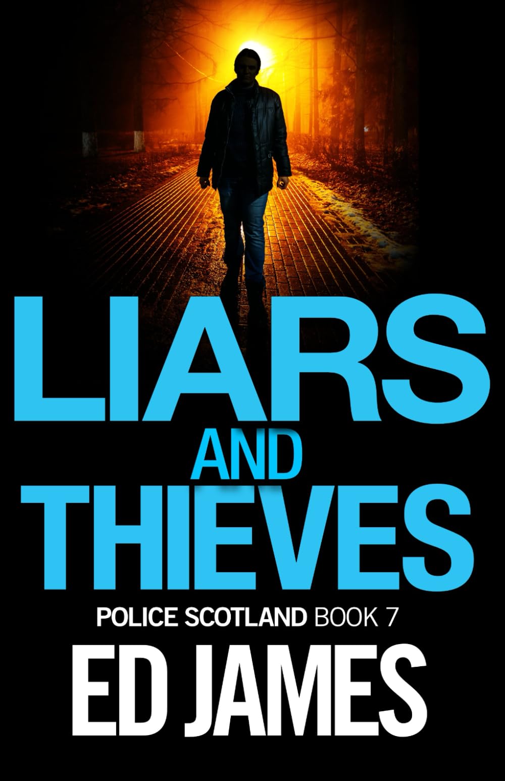 Liars and Thieves - Police Scotland Edinburgh Crime Thriller Novel | Gripping Detective Mystery Book for Crime Fiction Fans | Perfect for Book Clubs & Mystery Lovers