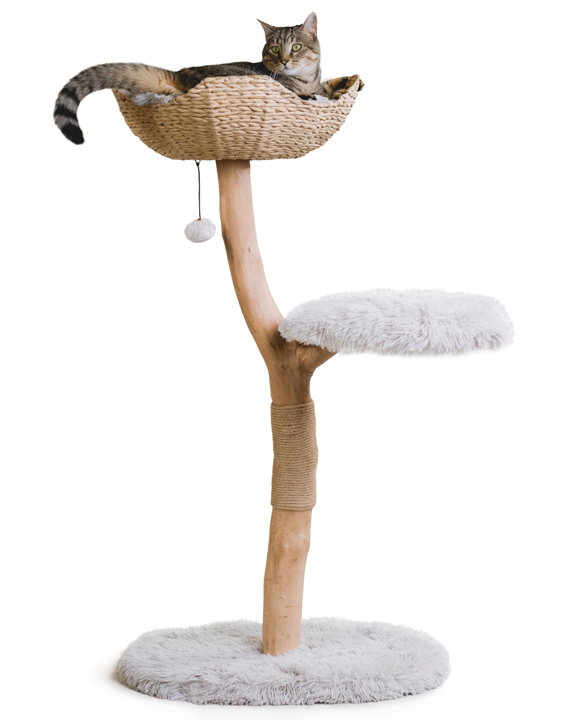 Modern Wooden Cat Tree Tower with Single Branch Condo - Natural Wood Cat Climbing Furniture for Indoor Cats - Perfect Cat Lover Gift for Home & Office - MAU LIFESTYLE (Bullet Gray) - Great for Play, Exercise & Relaxation