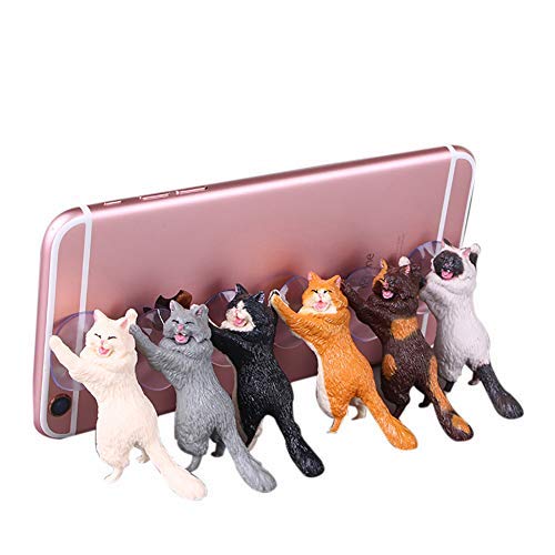 6pcs