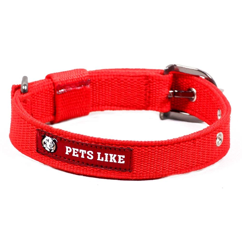 Premium Polyester Dog Collar for Small & Medium Breeds - Red (25mm) - Adjustable, Durable & Comfortable Pet Collar for Daily Walks, Training & Outdoor Adventures