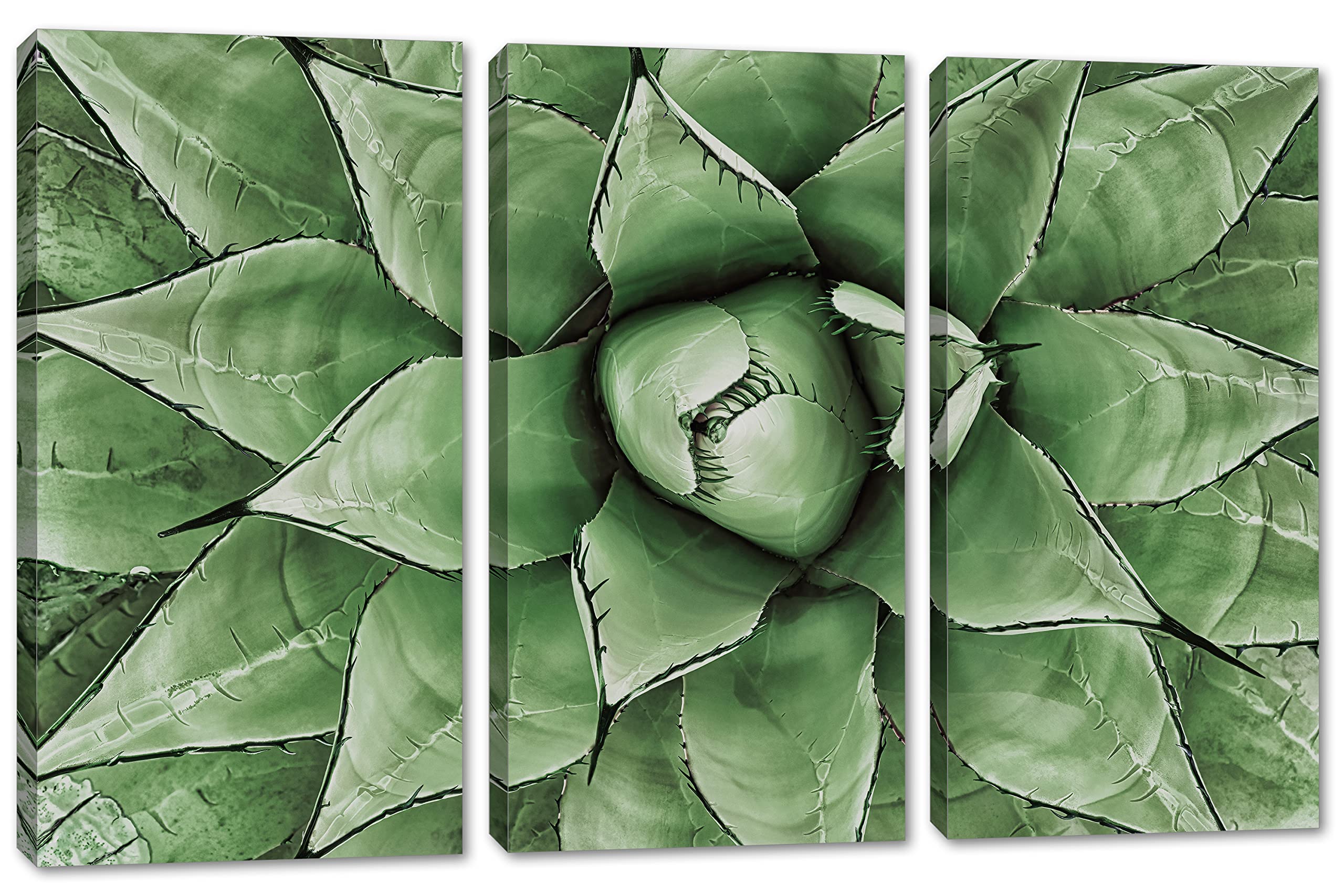 48x32 Inch Green Agave Canvas Print Wall Art - 3 Panel Split Botanical Decor for Living Room, Bedroom & Office | Agave Plant Artwork for Modern Home Decor