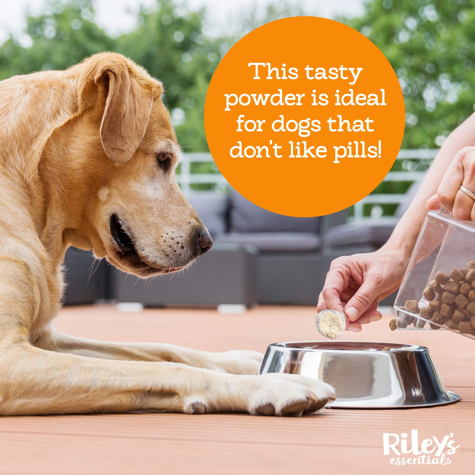 Riley's Multi-Essentials Dog Multivitamin Powder - Complete Nutritional Support with Vitamins, Minerals, Spirulina, Kelp & Milk Thistle - for Puppies & Senior Dogs - 8oz - Perfect for Daily Health Maintenance & Immune System Boost