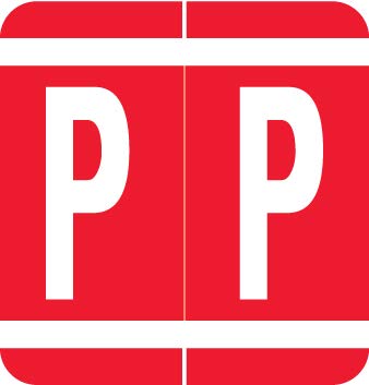 Doctor Stuff File Folder Labels - Letter P Stickers (250/Roll) for Medical Records