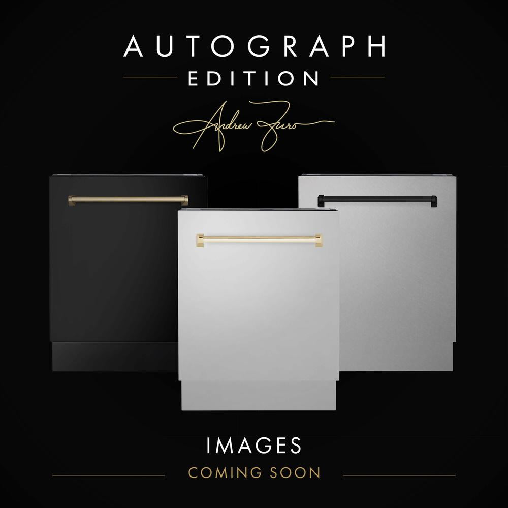 ZLINE Autograph Edition 18-inch Stainless Steel Tallac Dishwasher Panel with Accent Handle (DPVZ 304 18) - Premium Built-in Dishwasher Cover for Modern Kitchens
