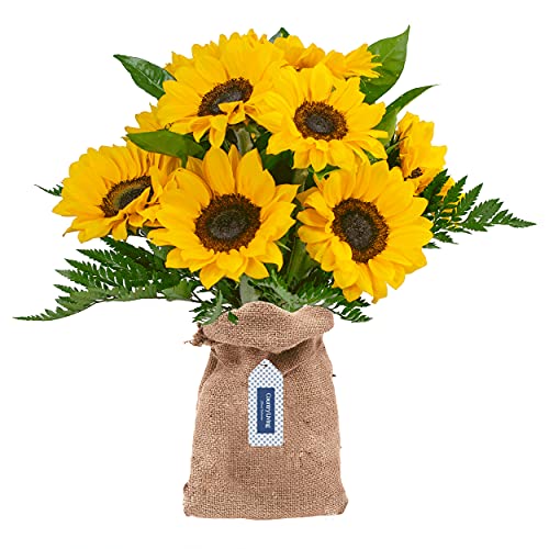 Premium Fresh Cut Sunflower Bouquet - 17 Stems Yellow Sunflowers with Glass Vase | Country Living Floral Collection by Colour Republic | Perfect for Home Decor, Wedding Centerpieces & Gift Giving