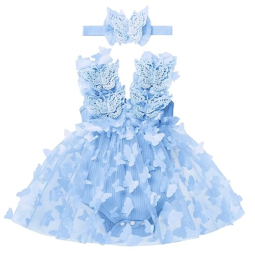 Blue Butterfly