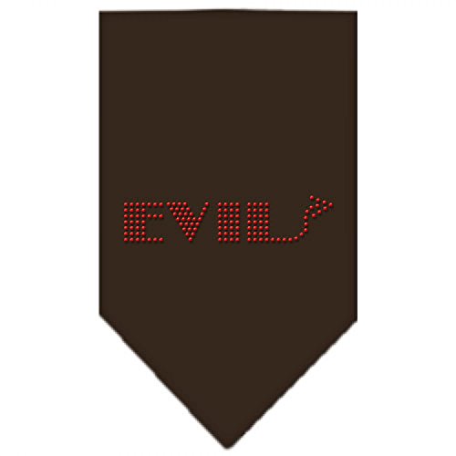 Cocoa