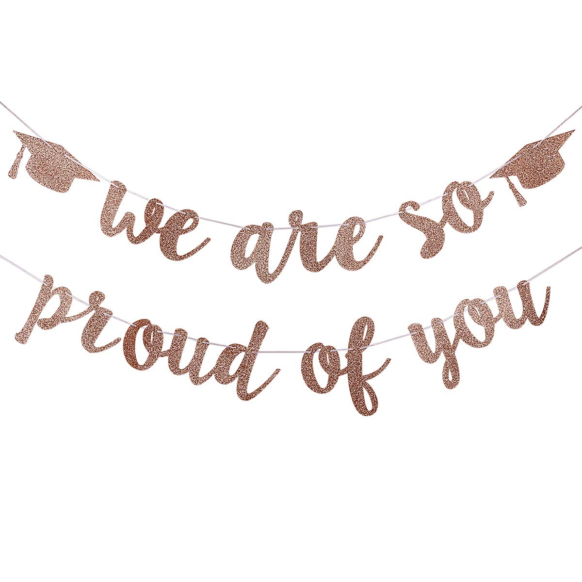 2025 Graduation Banner - Rose Gold 